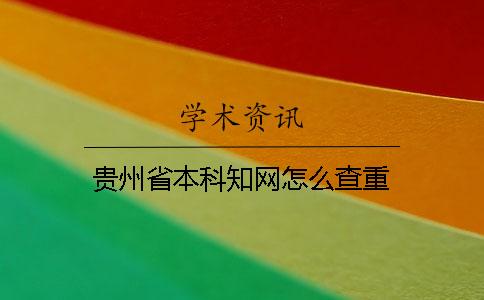贵州省本科知网怎么查重