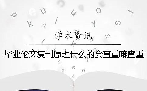 毕业论文复制原理什么的会查重嘛查重原理是什么