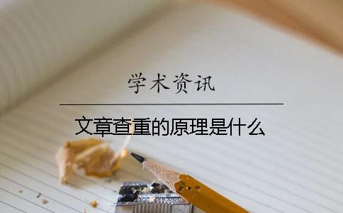 文章查重的原理是什么