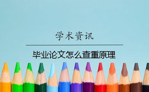 毕业论文怎么查重原理